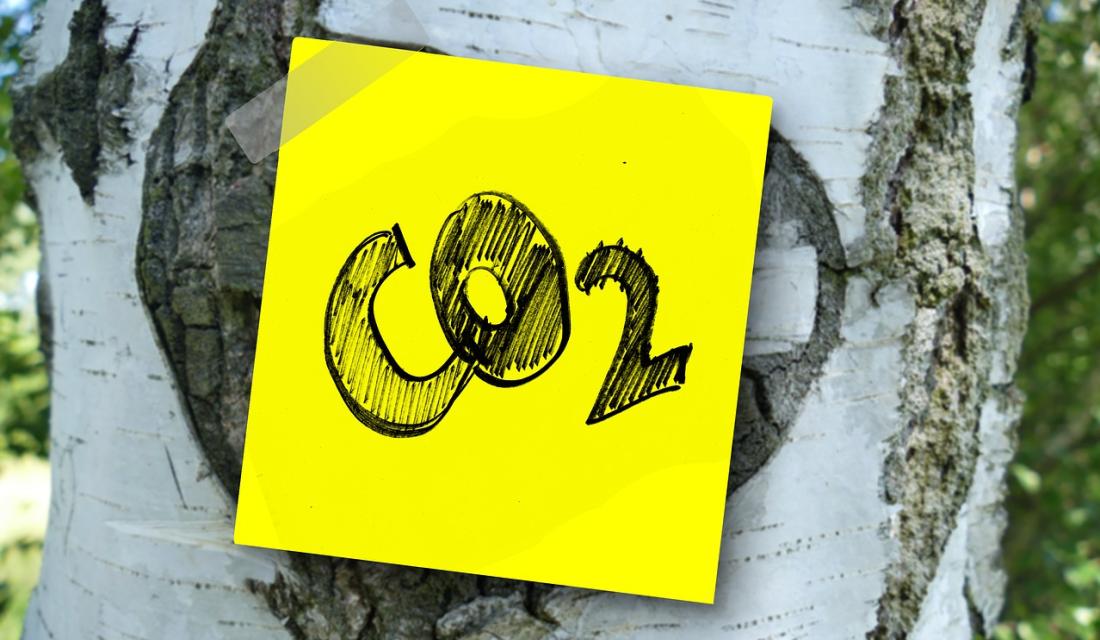 CO2_Einsparung
